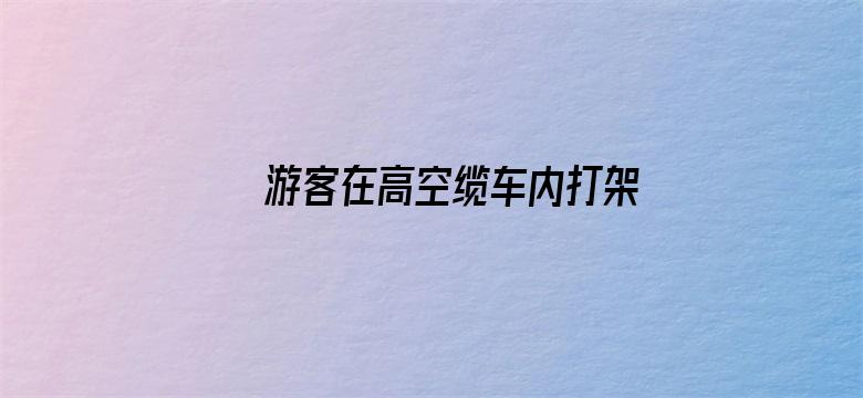 游客在高空缆车内打架 全车人惊呼